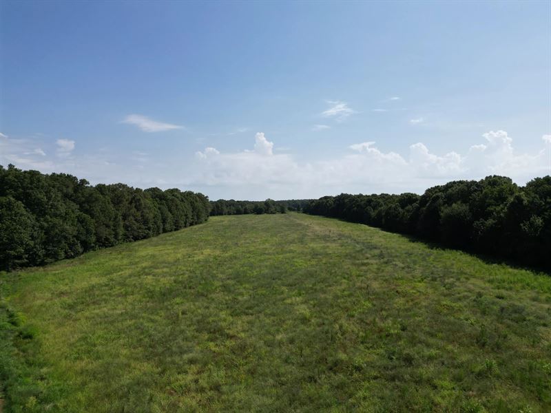 120 Acres in Chicot County, AR : Eudora : Chicot County : Arkansas