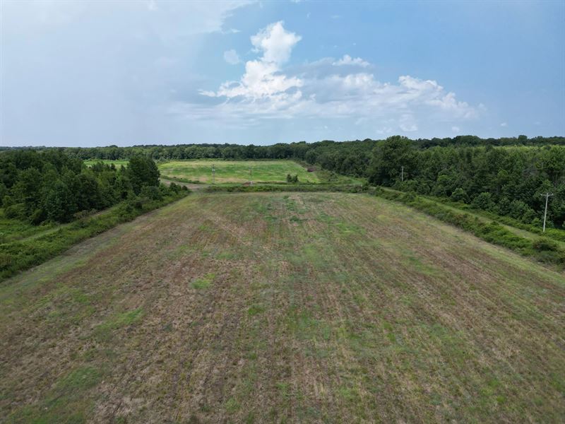 53 Acres in Chicot County, AR : Eudora : Chicot County : Arkansas