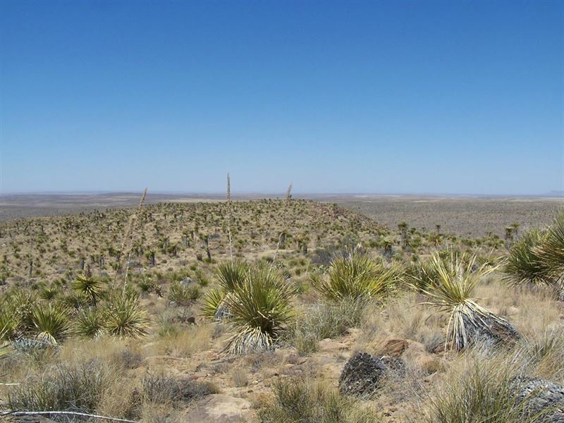 River View Rio Grande 10 Acre Texas : Van Horn : Hudspeth County : Texas