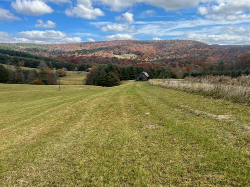 100 Acre Land Tract Near Troutdale : Troutdale : Grayson County : Virginia