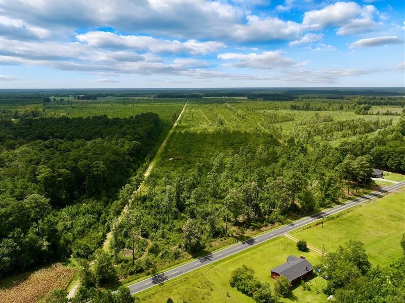 166 Acres of Hunt : Vanceboro : Craven County : North Carolina