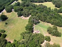 106.8 Acres With a Home in Panola : Courtland : Panola County : Mississippi