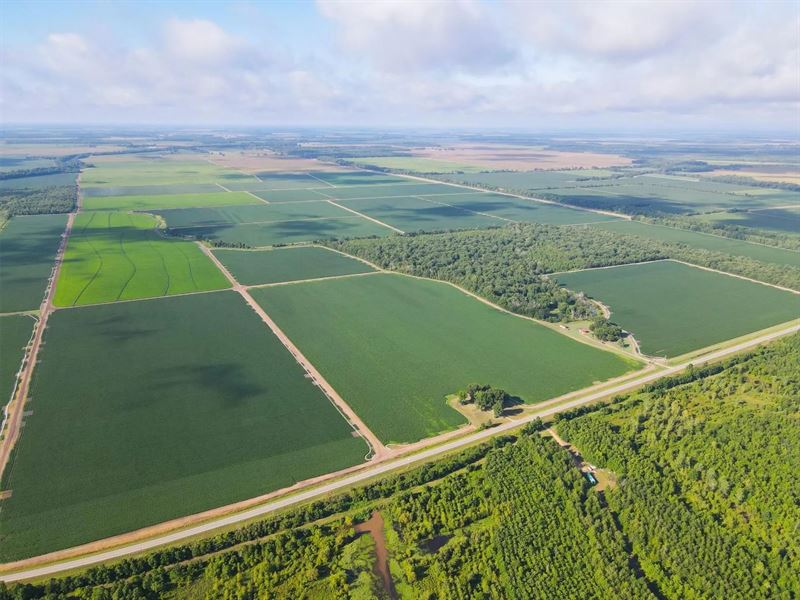 500 Acres Precision Leveled : McGehee : Desha County : Arkansas