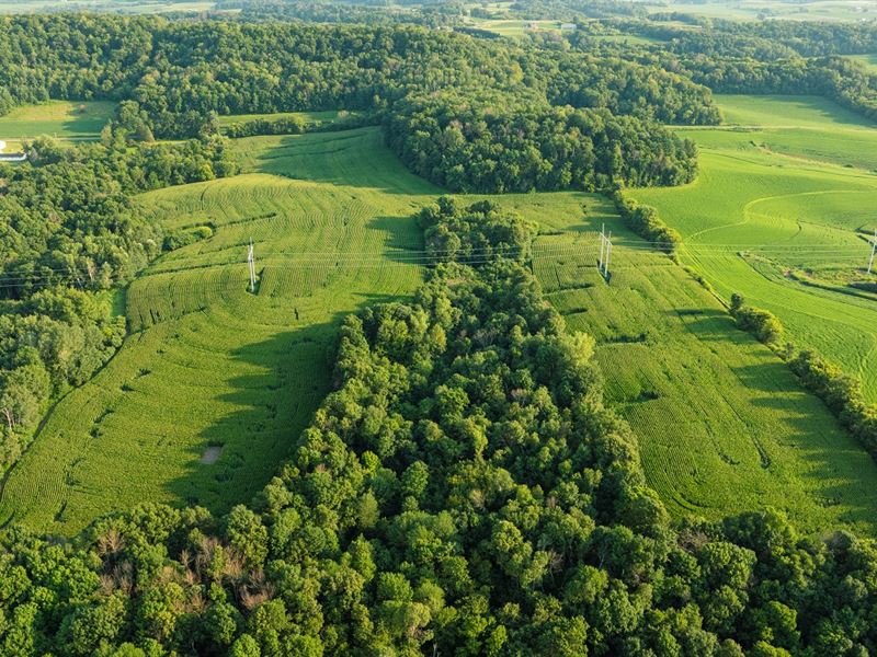 67 Acres Dunn County, WI : Menomonie : Dunn County : Wisconsin