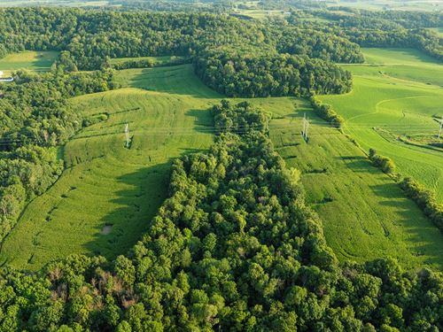 67 Acres Dunn County, WI : Menomonie : Dunn County : Wisconsin