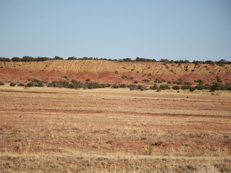 G Bar Ranch 103 : Saint Johns : Apache County : Arizona