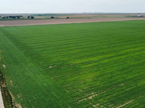 Genoa Farm 320 : Genoa : Lincoln County : Colorado
