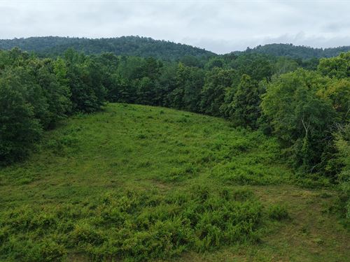 150 Acres In Montgomery County, AR : Oden : Montgomery County : Arkansas