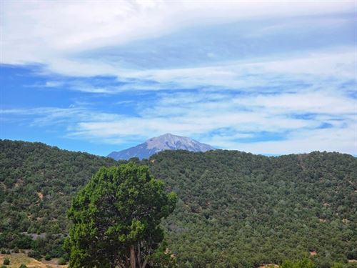 31 Blackhawk Ranch : Walsenburg : Huerfano County : Colorado