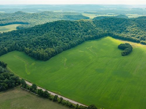 80 Acres Dunn County : Menomonie : Dunn County : Wisconsin