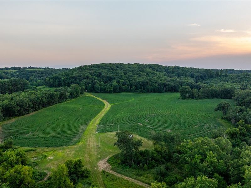 373 Acres Trempealeau County : Blair : Trempealeau County : Wisconsin