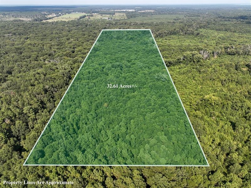 32 Acres, County Road 3224 : Center : Shelby County : Texas