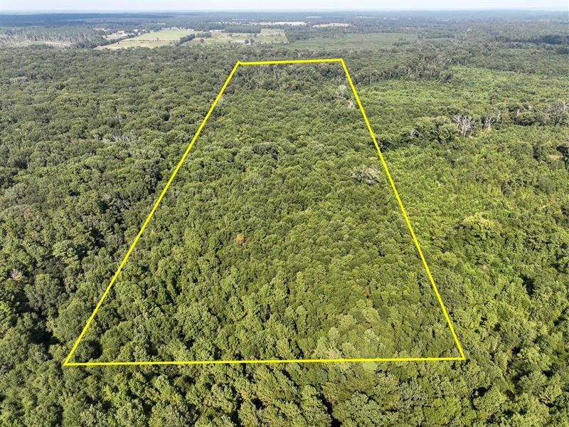 32 Acres, County Road 3224 : Center : Shelby County : Texas