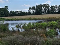 27.5 Pasture With Pond Hwy 16 & Wes : Quitman : Cleburne County : Arkansas