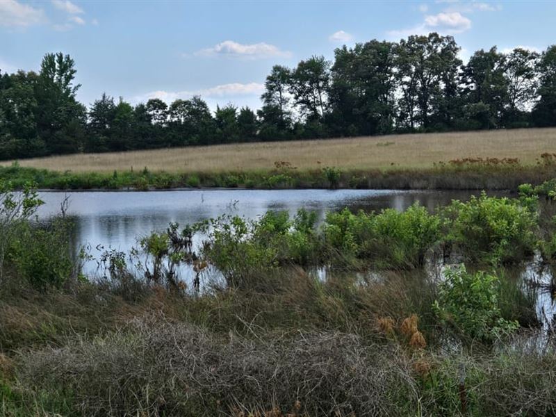 27.5 Pasture with Pond Hwy 16 & Wes : Quitman : Cleburne County : Arkansas