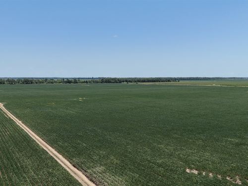 Prime Delta Ag Land : Drew : Sunflower County : Mississippi