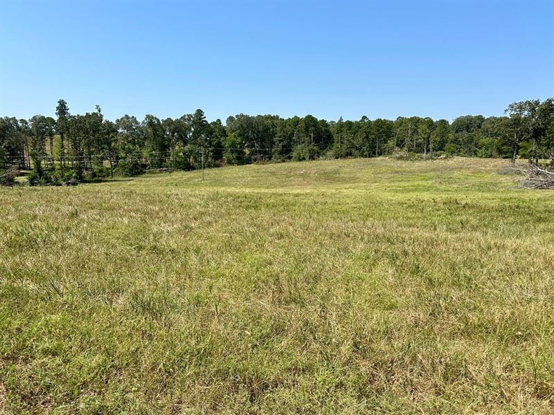 10 Acres, Ready to Build On, WA : Cave City : Independence County : Arkansas