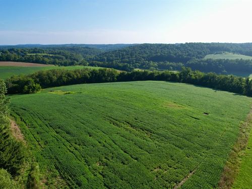 Rock Springs Rd, Westmoreland Coun : Delmont : Westmoreland County : Pennsylvania