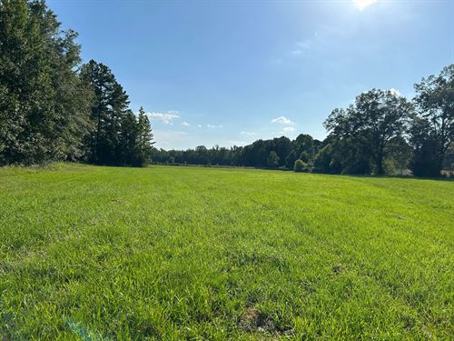 25.46 Acres Calhoun County, MS : Water Valley : Calhoun County : Mississippi