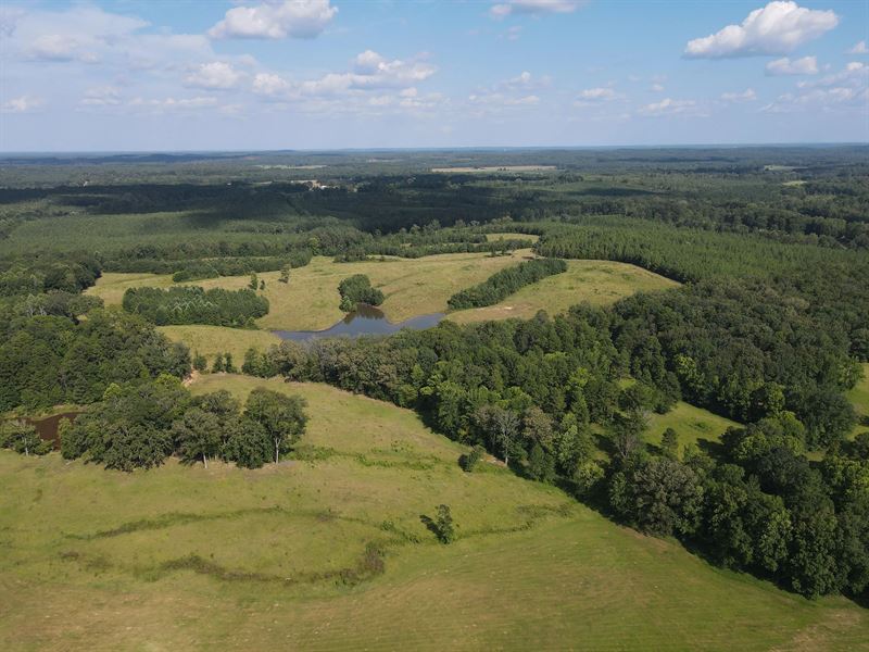 170 Acres in Calhoun County, MS : Water Valley : Calhoun County : Mississippi