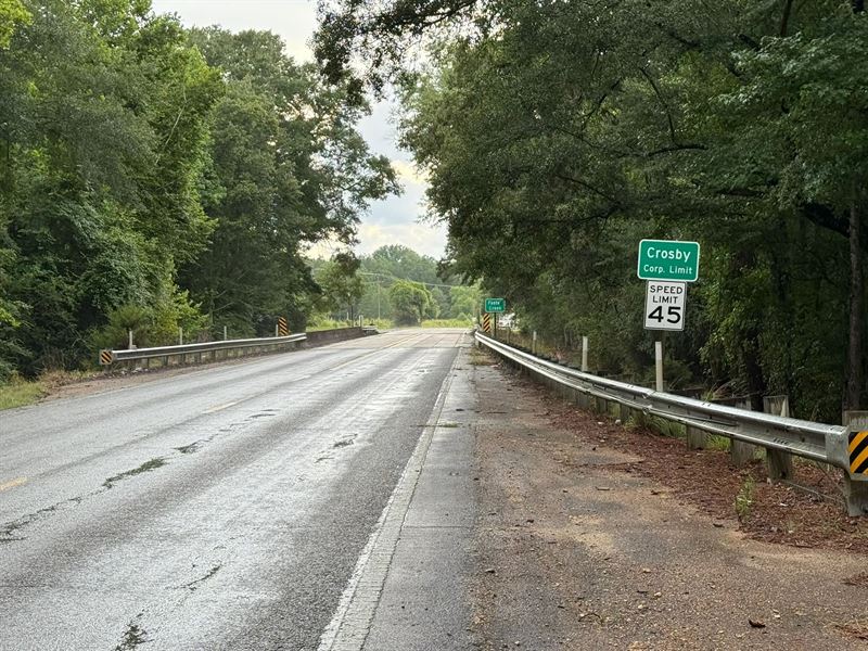 68 Acres in Amite County, MS : Crosby : Amite County : Mississippi