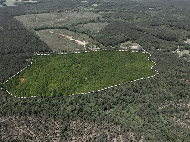 Investment Property or Hunting : Washington : Wilkes County : Georgia