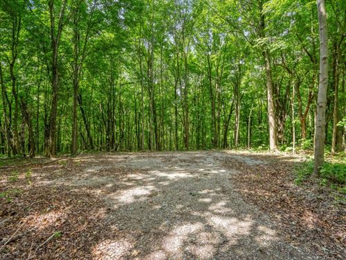 Potts Hill Rd, 45 Acres : Bainbridge : Pike County : Ohio