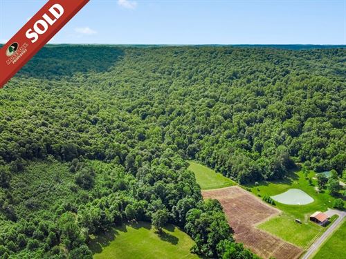 Schmidt Rd, 52 Acres : Bainbridge : Pike County : Ohio