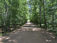 118 Acres in Magnolia, Arkansas : Magnolia : Columbia County : Arkansas