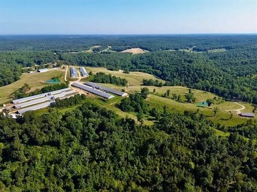 Emerald Ozark Meadows : Melbourne : Izard County : Arkansas