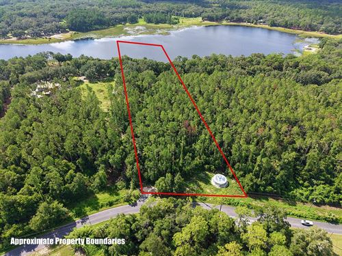 5.31 Acres With Lake Bessiola Acces : Ocklawaha : Marion County : Florida