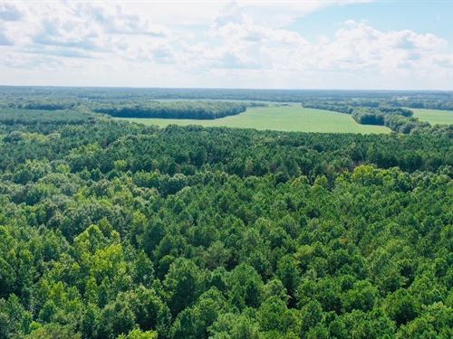 36 Acres Nettleton, Ms-Lee Count : Nettleton : Lee County : Mississippi