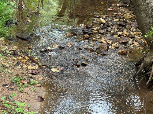 36.28 Acres, Lee County, AL : Opelika : Lee County : Alabama