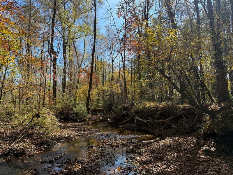 36.28 Acres, Lee County, AL : Opelika : Lee County : Alabama