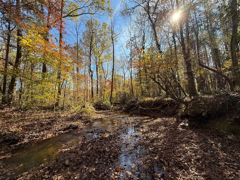 36.28 Acres, Lee County, AL : Opelika : Lee County : Alabama