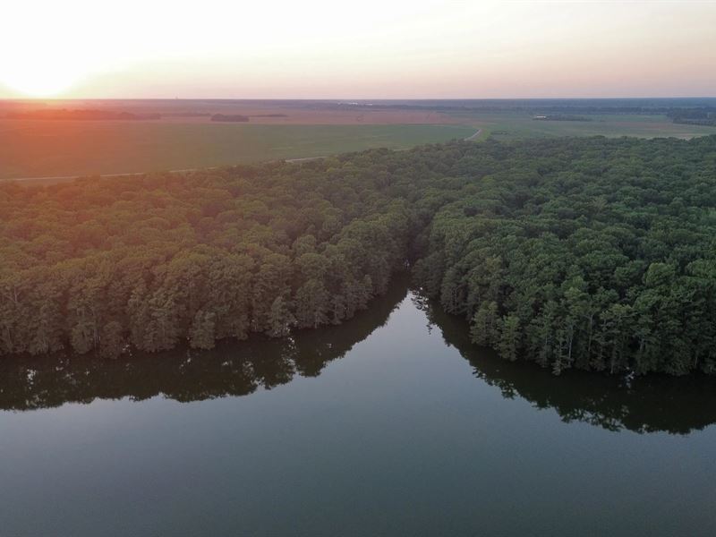 738 Acres in Bolivar County in Beno : Benoit : Bolivar County : Mississippi