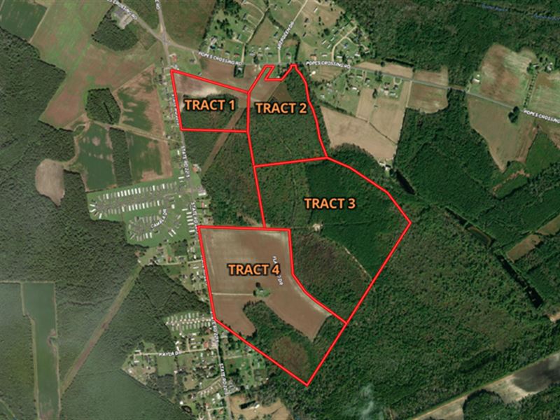 Residential & Agricultural Land : Lumberton : Robeson County : North Carolina