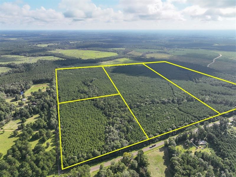 26, T-1, Fm 1013, 287052 : Mount Union : Jasper County : Texas
