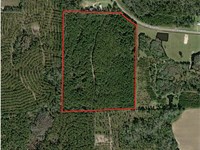 Houston Co AL Decatur Rd 39 ac : Cottonwood : Houston County : Alabama