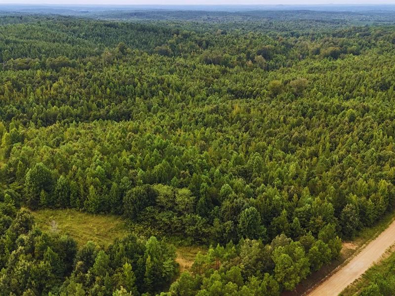 256 Acres in Webster County in Eupo : Eupora : Webster County : Mississippi