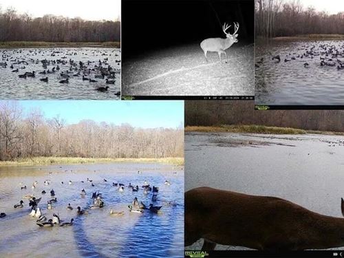 Final Flyway, Jefferson County MS : Lorman : Jefferson County : Mississippi