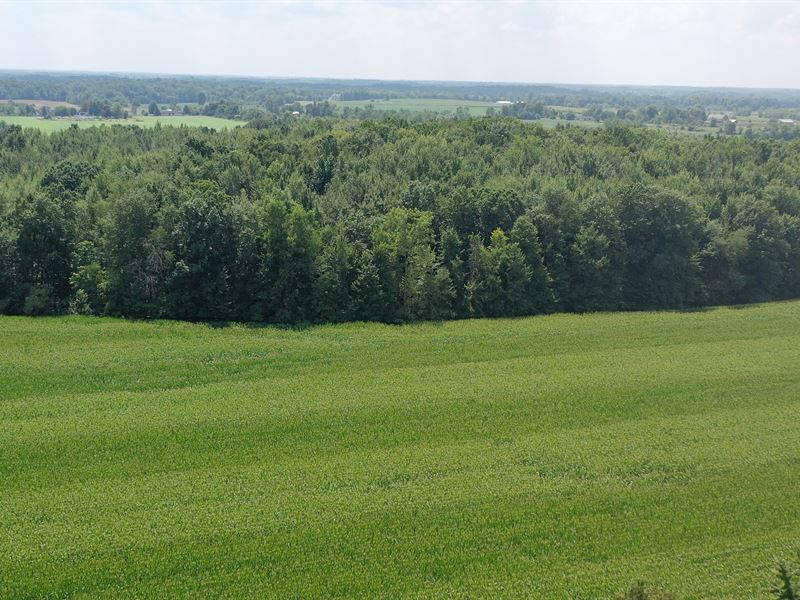 Land Auction, Lenawee Co Michigan : Adrian : Lenawee County : Michigan