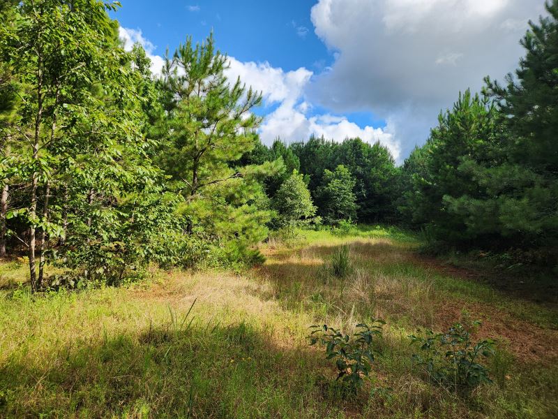Camp Hill 7 : Camp Hill : Tallapoosa County : Alabama