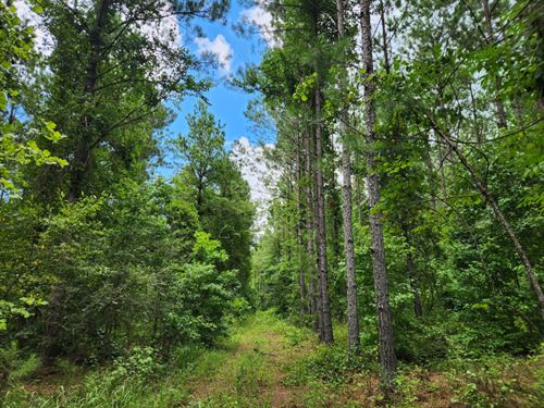 Camp Hill 11 : Camp Hill : Tallapoosa County : Alabama