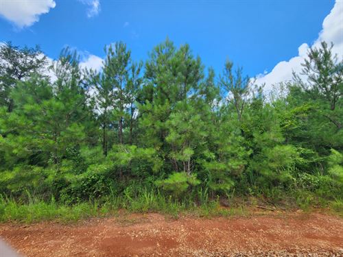 Camp Hill 12 : Camp Hill : Tallapoosa County : Alabama