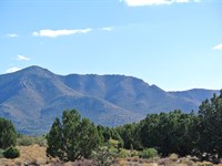 Dream Home Treed Lot : Kingman : Mohave County : Arizona