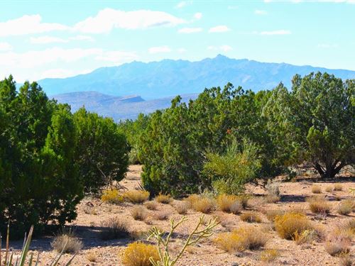 Dream Home Treed Lot : Kingman : Mohave County : Arizona