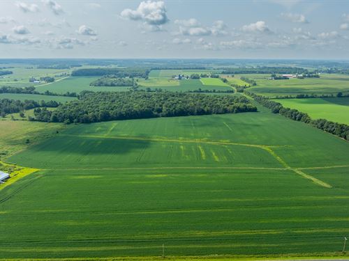 65 Acres St. Croix County : Glenwood City : Saint Croix County : Wisconsin