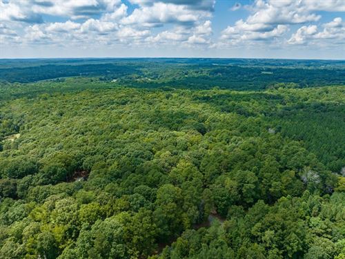 Discover an Exceptional Opportunity : Pittsboro : Chatham County : North Carolina