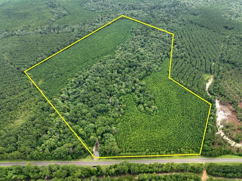 73 Acres, FM 2939, 287056 : Newton : Newton County : Texas